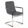 Silla de Visita Oslo con brazos cromados, patin - Gris