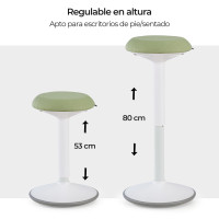 Ajuste Óptimo