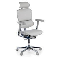 Silla Ergonómica Ergohuman Elite, piel natural - Gris