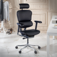 Silla Ergonómica Ergohuman Elite, piel natural - negro Second image