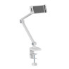 brazo monitor blanco erghos 3