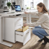 Cajonera de oficina Strong 2 cajones + archivo estructura blanco frontales metal