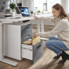Cajonera de oficina Strong 2 cajones + archivo estructura blanco frontales metal