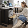 Cajonera de oficina Strong 2 cajones + archivo estructura negro frontales metal