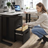 Cajonera de oficina Strong 2 cajones + archivo estructura negro frontales metal