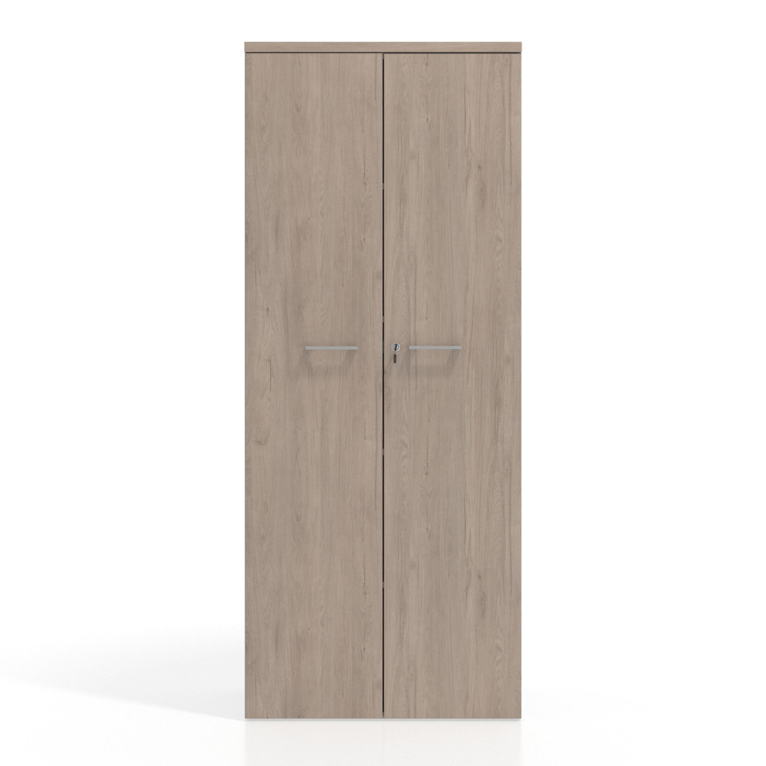 Armario de oficina Basic con puerta alta, medida 193x80