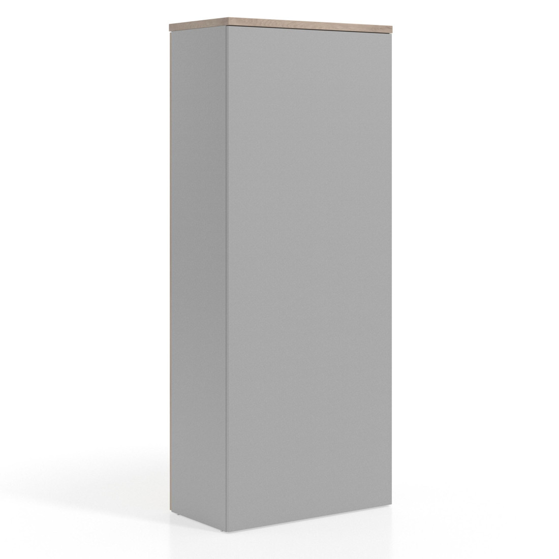 Armario de oficina Basic con puerta alta, medida 193x80