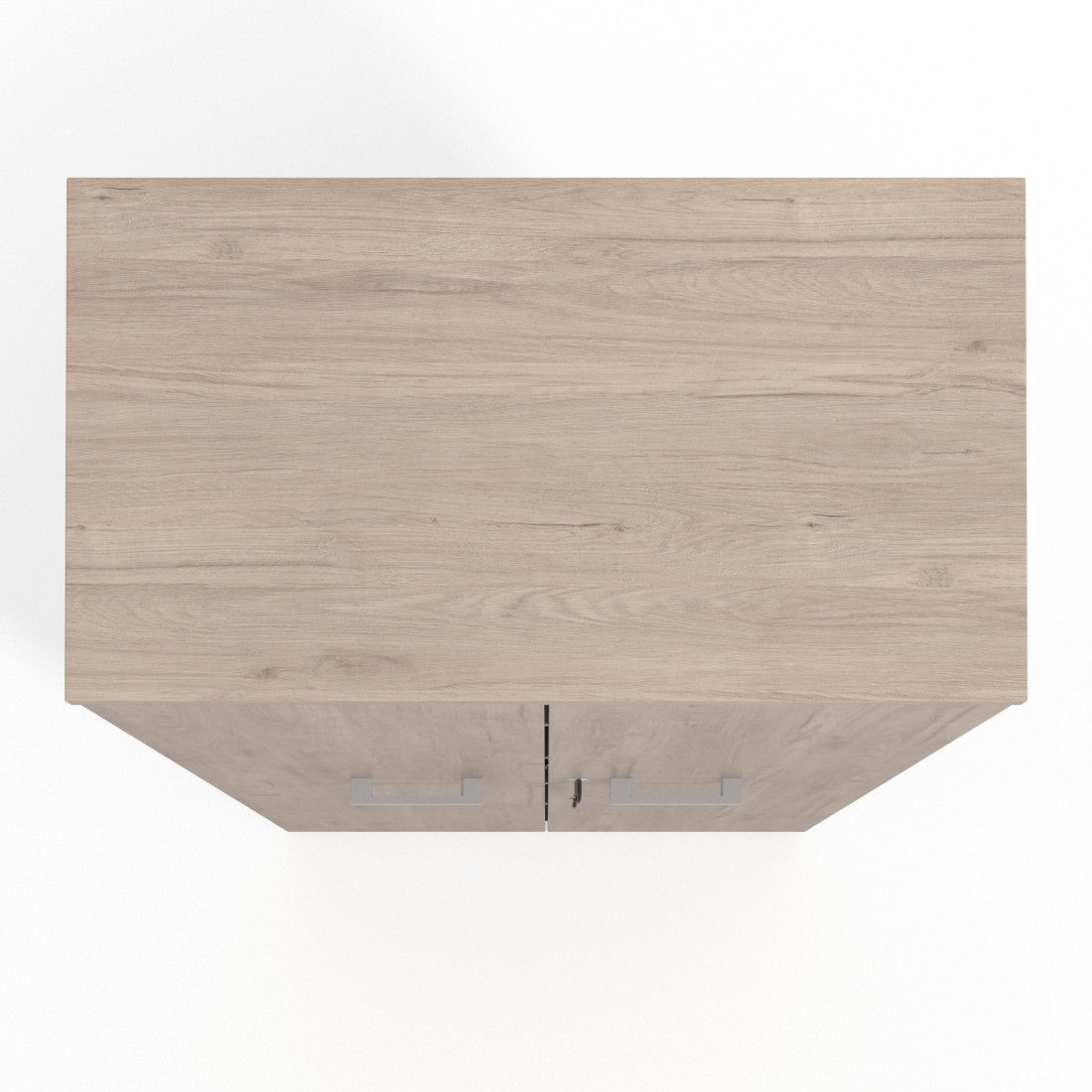 Armario de oficina Basic con puerta alta, medida 193x80