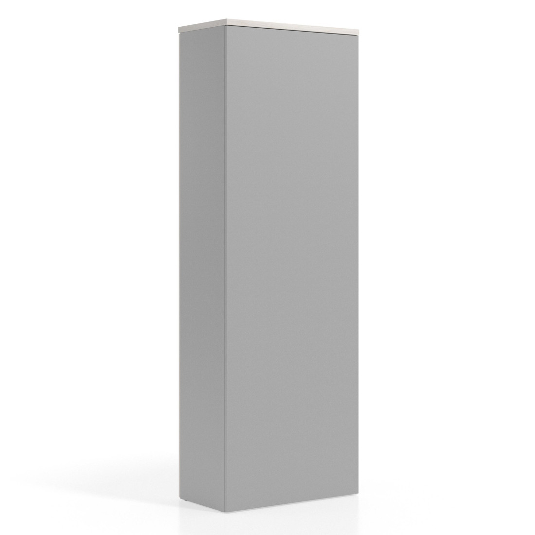 Armario de oficina Basic con puerta alta, medida 232x80