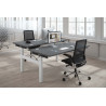 Mesa Multipuesto Elevable eléctrica Erghos  Smart Pro estructura blanca canto recto