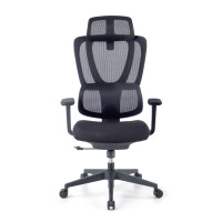 Doble Cojin Lumbar