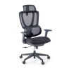 Silla de oficina Gravity White, reposacabezas, brazos 3D, red