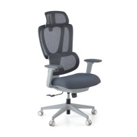 Silla de oficina Motion, reposacabezas, brazos 3D, red - Gris