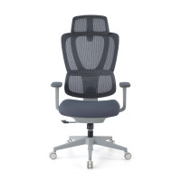 Doble Cojin Lumbar