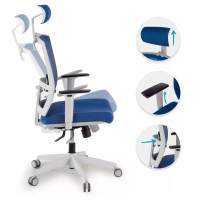 Postura Ergonómica