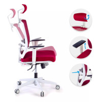 Postura Ergonómica