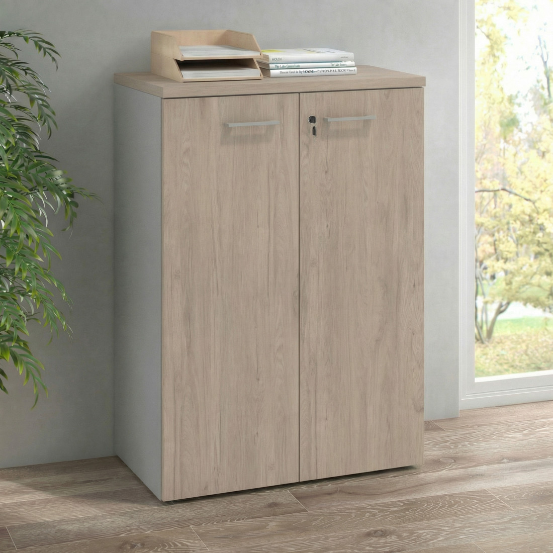 Armario de oficina Basic con puerta cerradura, medida 116x80