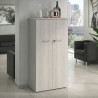 Armario de oficina Basic, medida 155x80cm con puerta