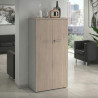 Armario de oficina Basic, medida 155x80cm con puerta