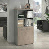 Armario de oficina Basic, medida 155x80cm con puerta baja