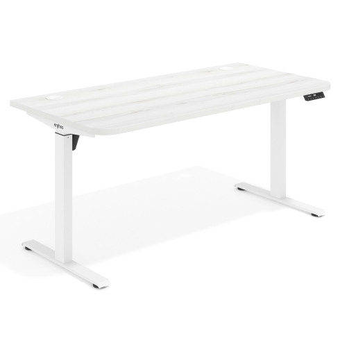 120X80