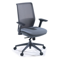 Silla de oficina Wind, respaldo ergonómico, brazos 3D, red - Gris